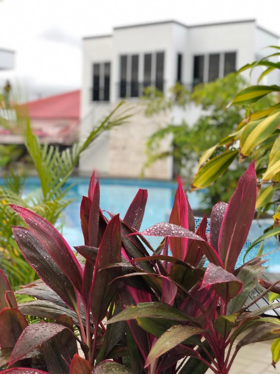Tucan Resort & Spa Παραμαρίμπο Εξωτερικό φωτογραφία