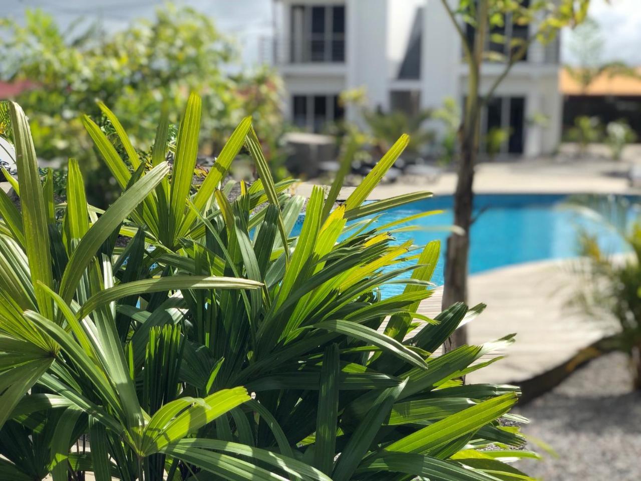 Tucan Resort & Spa Παραμαρίμπο Εξωτερικό φωτογραφία